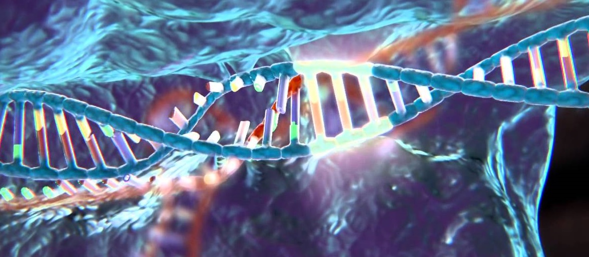 Information Science revolutionizes Genetics