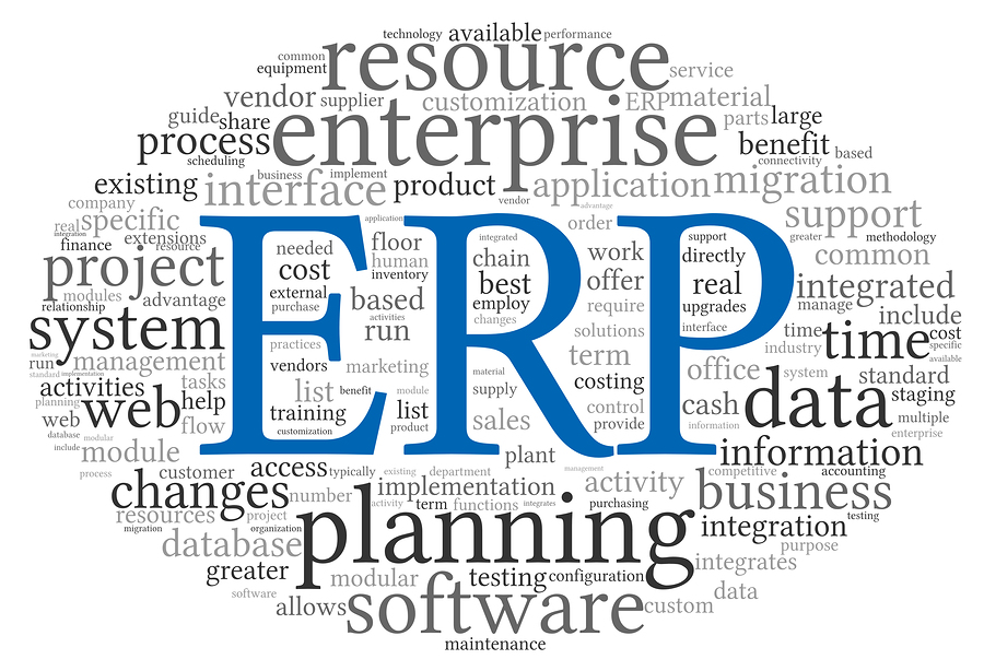 ERP-as-a-platform?