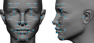 Should the NYPD use Facial Recognition Software?