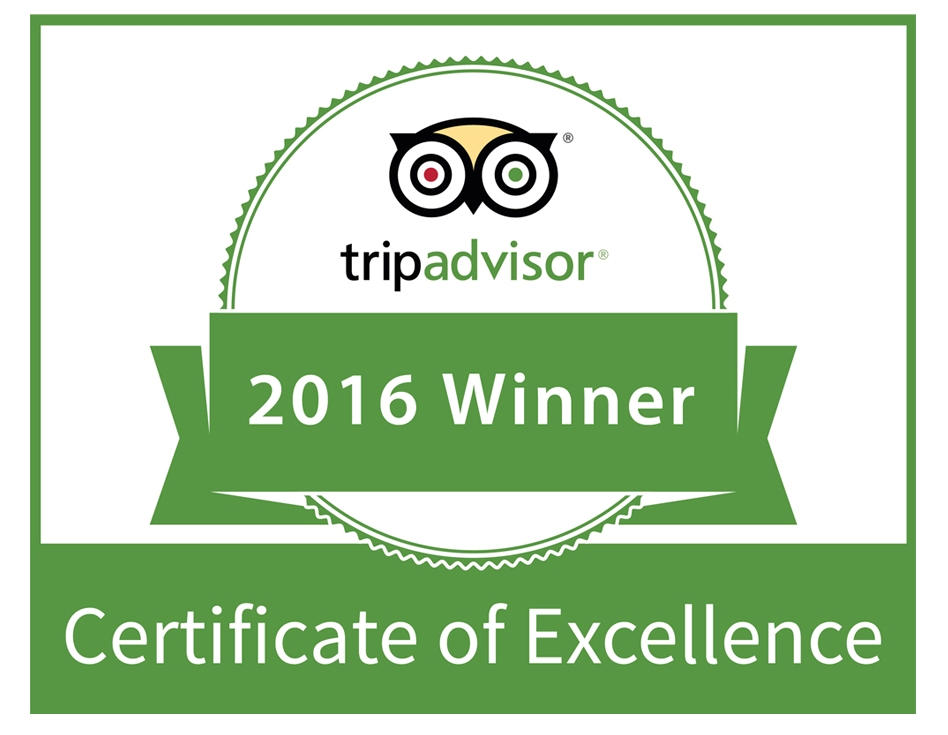 The power of TripAdvisor