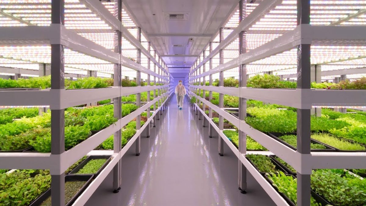 Vertical Farming – new way of technology driven agriculture