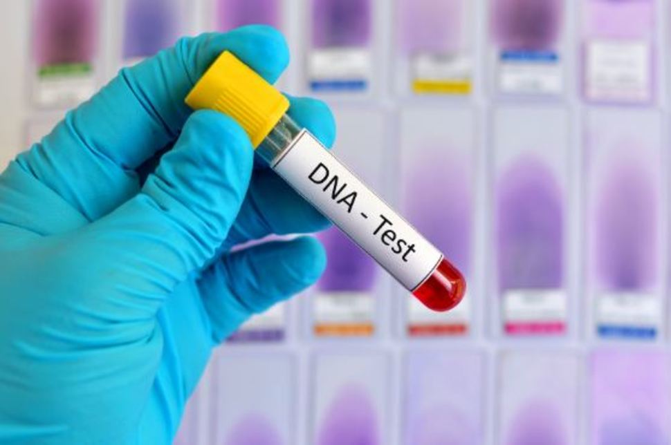 The real price of DNA-testing kits