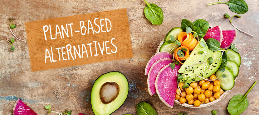 Vegan Food Alternatives – A Rising Trend in the Tech Industry