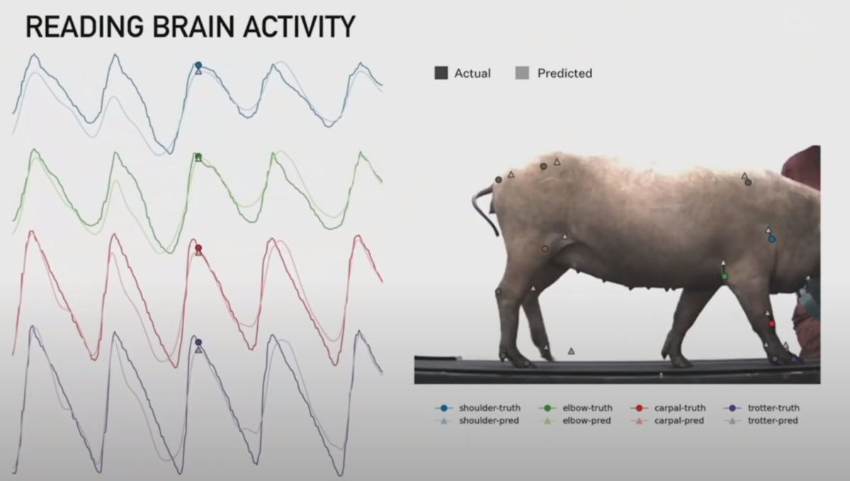 Connecting Computers to Brains