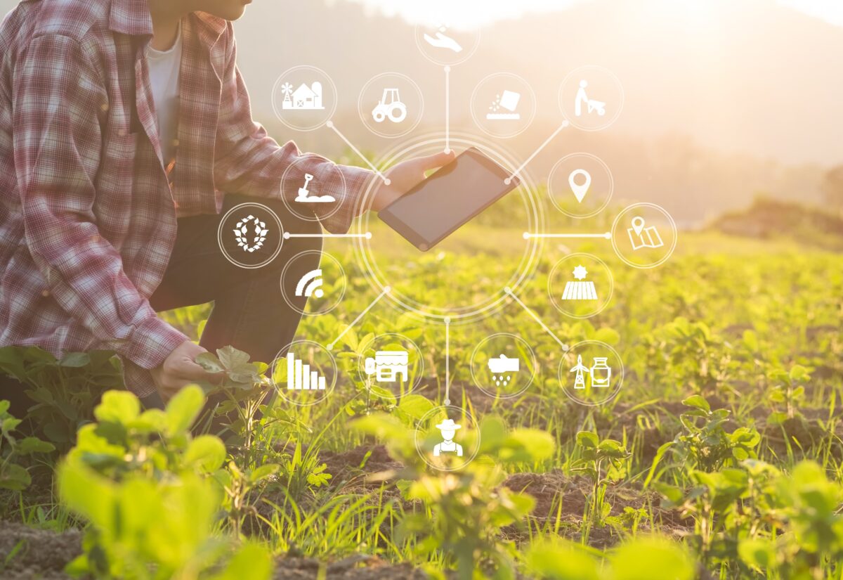 Smart Farming: How the Internet of Things transform the Agriculture Industry.