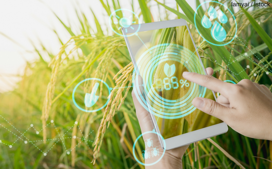 AgTech – a Cornerstone of Human Survival and Global Sustainability Efforts