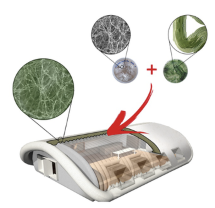 Building Space Colonies out of Fungi!