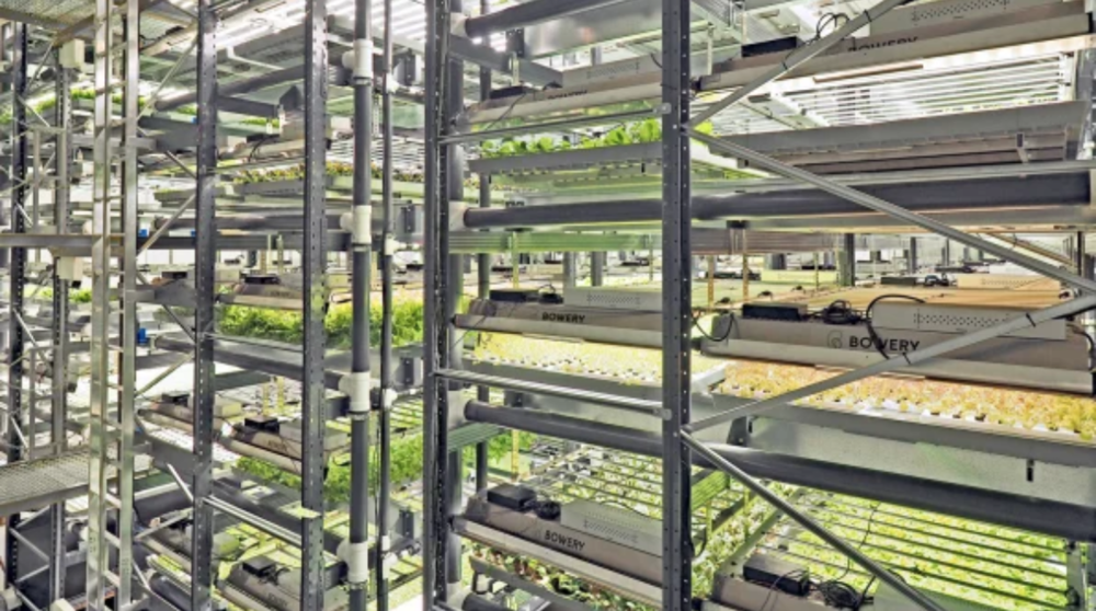 The role of technology in making Vertical Farming financially feasible