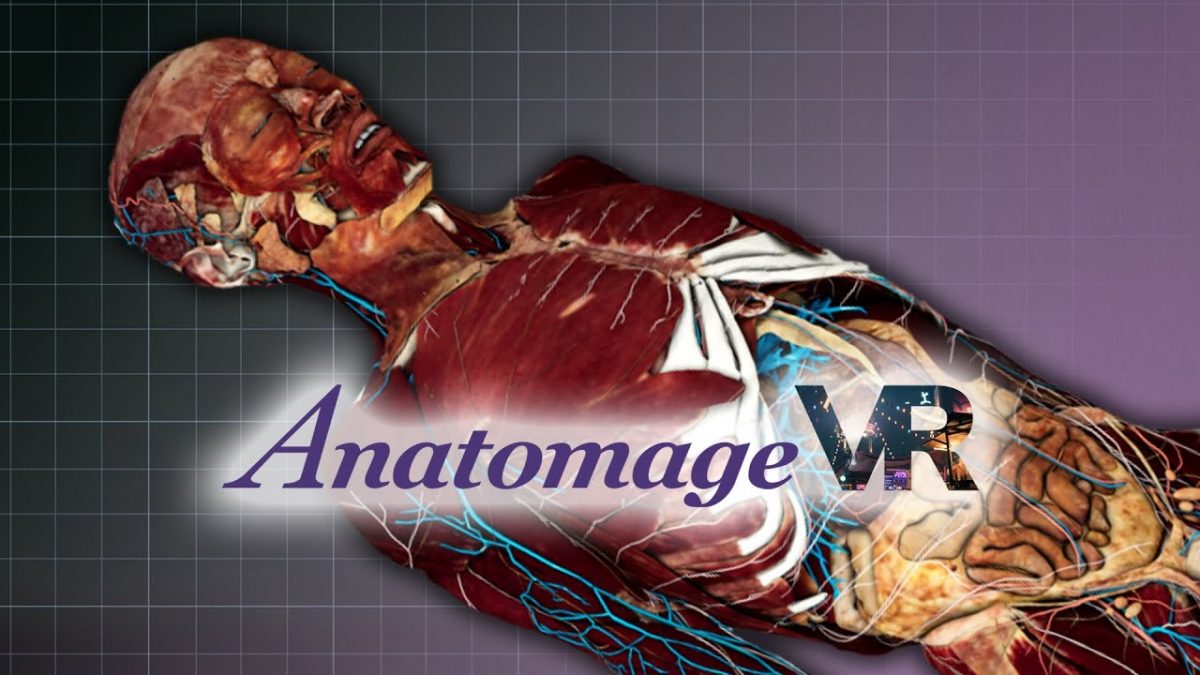 The future of human anatomy? Anatomage VR & the Metaverse