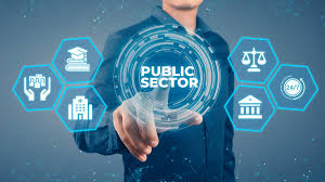 AI use in Government